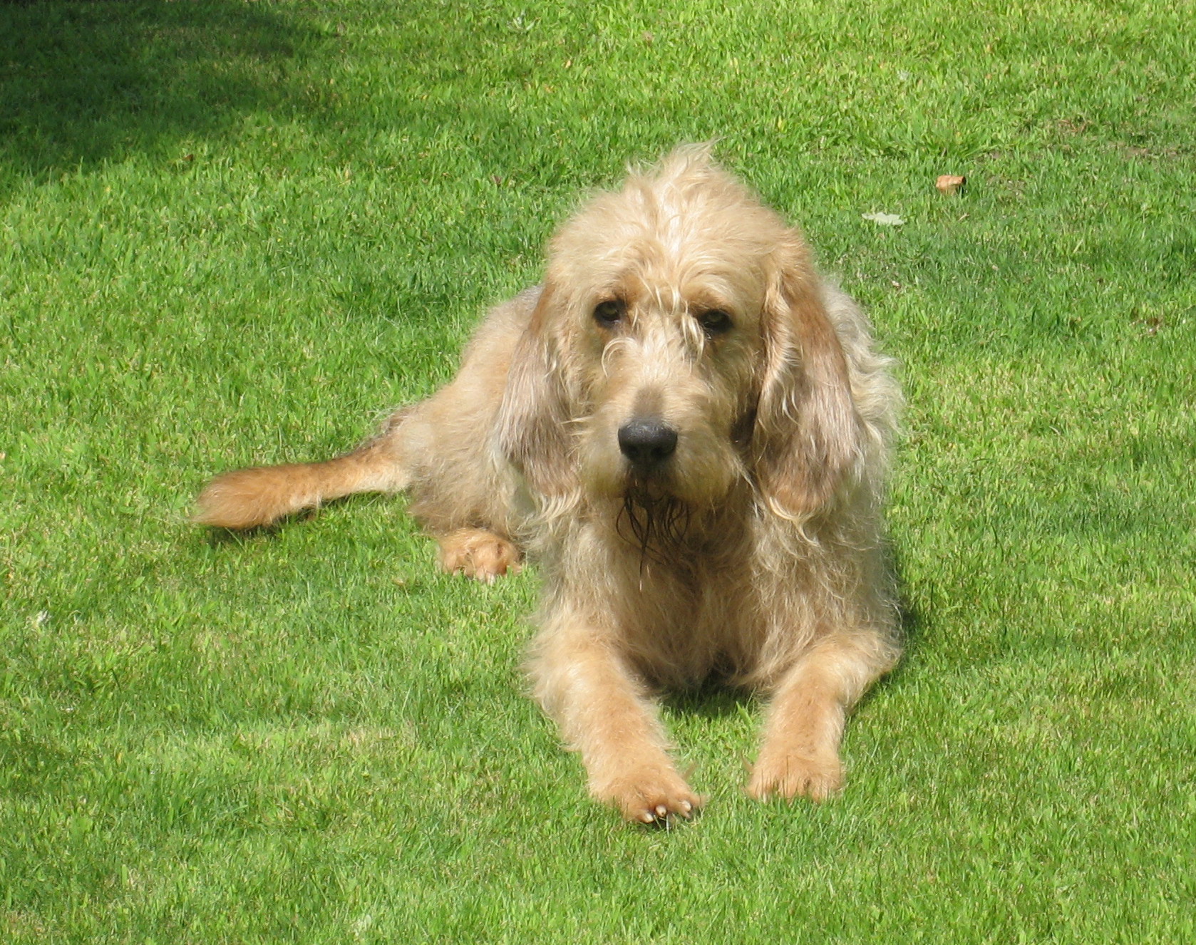 starr