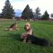 Photos:  Resting Under Mt Shasta