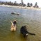 Photos: Blue Fairy Pack @ Ventura Beach (July 2012)